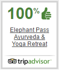 Elephant Pass Ayurveda and Yoga Retreat